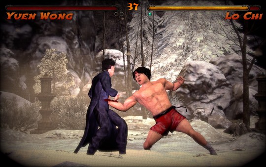 Kings of Kung Fu screenshot 10