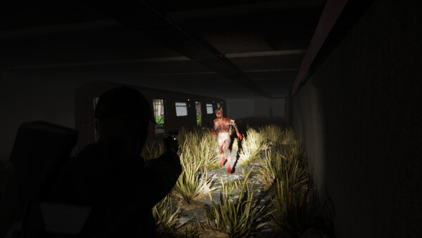 DOCE screenshot 3