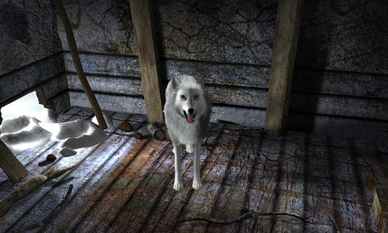 Nancy Drew: The White Wolf of Icicle Creek screenshot 9