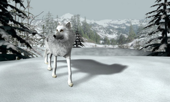 Nancy Drew: The White Wolf of Icicle Creek screenshot 10