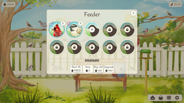 Birdfull screenshot 4