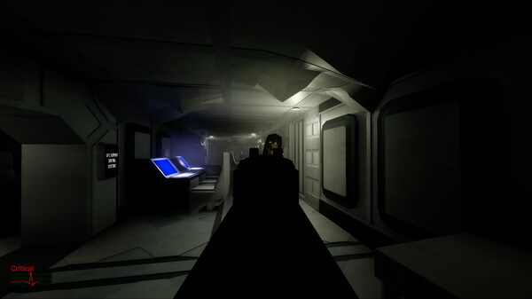 The SS Destiny Disaster screenshot 1