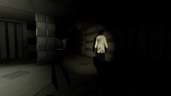 The SS Destiny Disaster screenshot 6