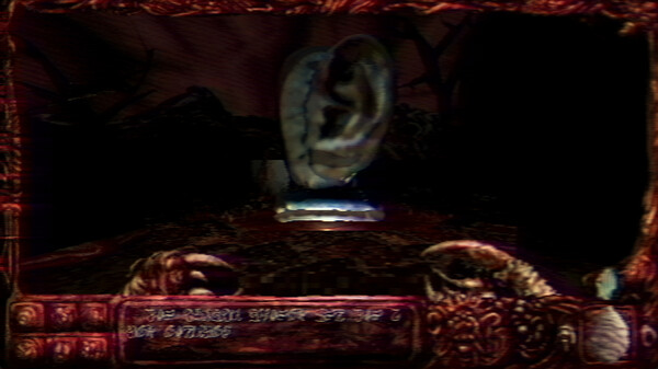 Navicula Meatus screenshot 6