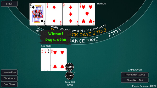 Player vs. Dealer Blackjack screenshot 1