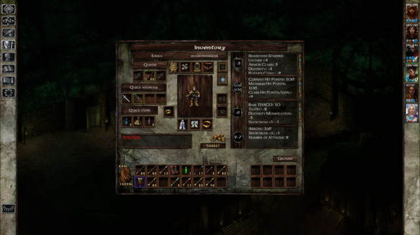 Icewind Dale: Enhanced Edition screenshot 8