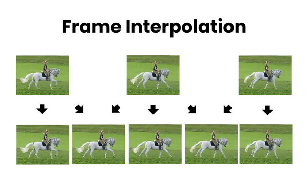 FluidFrames screenshot 2