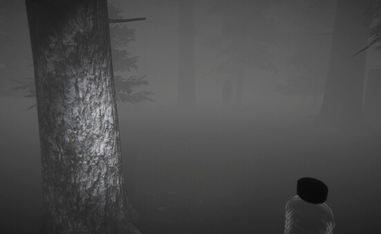 Backrooms: The Lost Circus screenshot 7