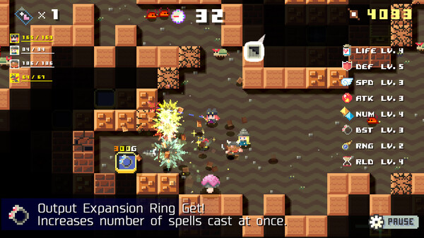 DUNGEON RAZE screenshot 4