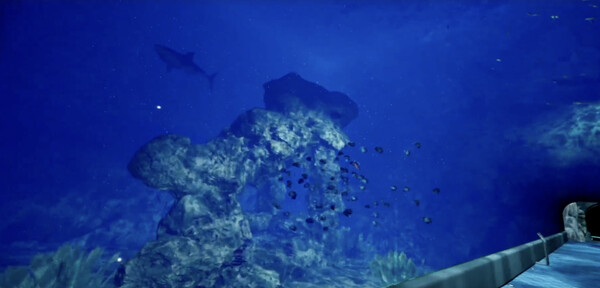 Aquarium at August 32nd VR screenshot 5