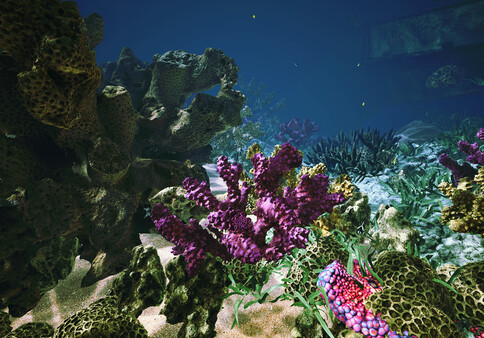 Pearl of the Desert screenshot 7