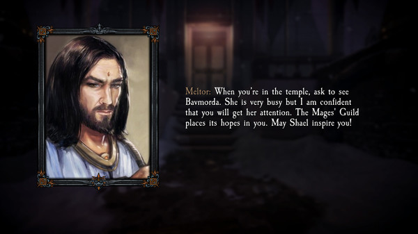Dungeon Kingdom: Sign of the Moon screenshot 4