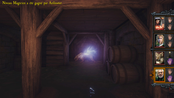 Dungeon Kingdom: Sign of the Moon screenshot 10