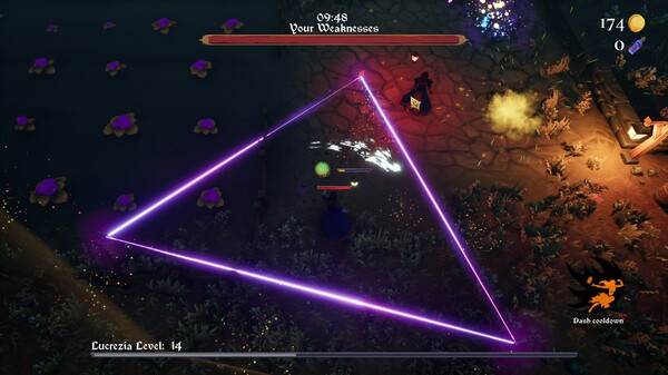 Fiora screenshot 6