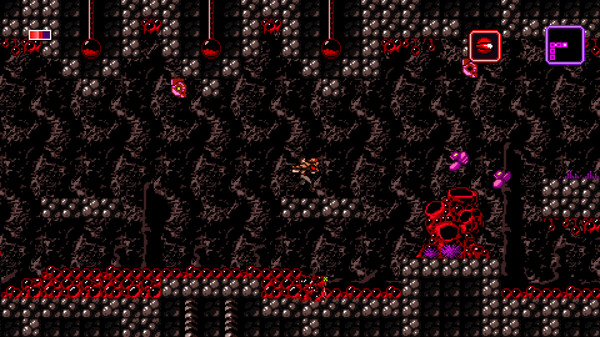 Axiom Verge screenshot 12