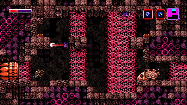 Axiom Verge screenshot 10