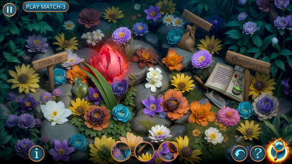 Connected Hearts: Hour of the Witch Collector's Edition screenshot 4