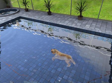 Paws and Claws: Pampered Pets screenshot 2