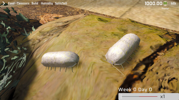 Isopod Keeping Simulator screenshot 5