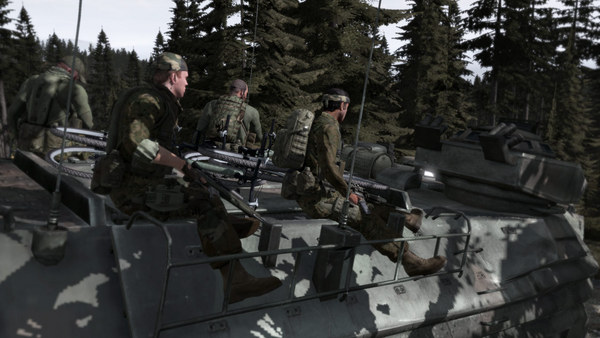 Arma 2 screenshot 1