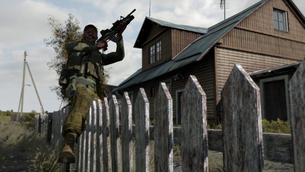 Arma 2 screenshot 7