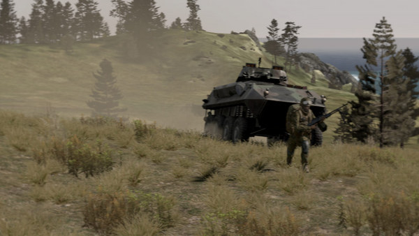 Arma 2 screenshot 11
