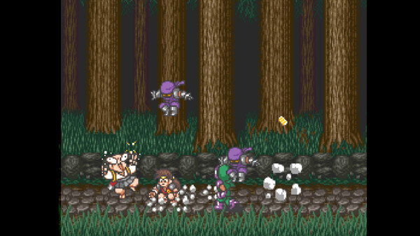 Justice Ninja Casey screenshot 4