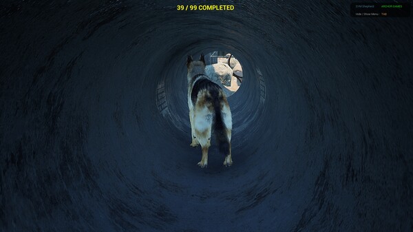 SYM Shepherd screenshot 6