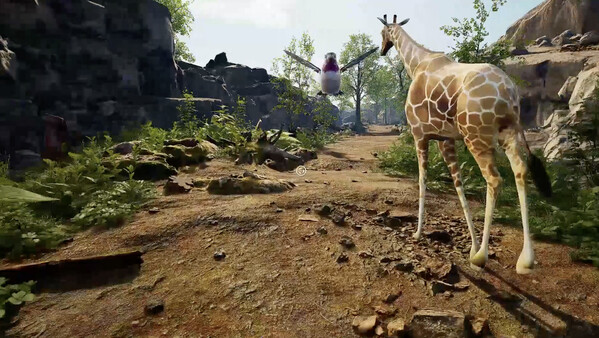 NOAH'S VRK screenshot 4