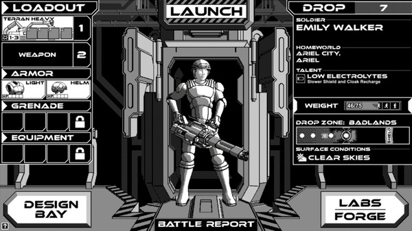 Rogue Invader screenshot 2