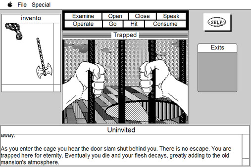 The Uninvited: MacVenture Series screenshot 9
