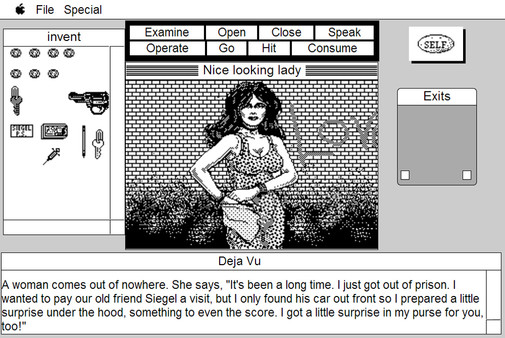 Déjà Vu: MacVenture Series screenshot 11