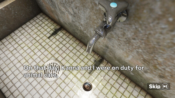 CLASS 3, THIRD GRADE screenshot 8