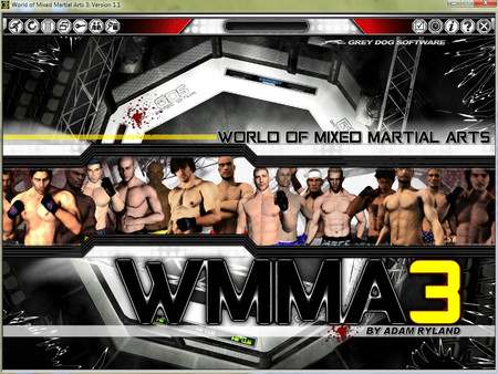 World of Mixed Martial Arts 3 screenshot 7