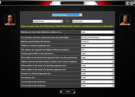 World of Mixed Martial Arts 3 screenshot 8