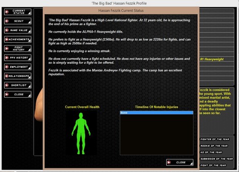 World of Mixed Martial Arts 3 screenshot 11