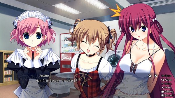 The Fruit of Grisaia screenshot 11