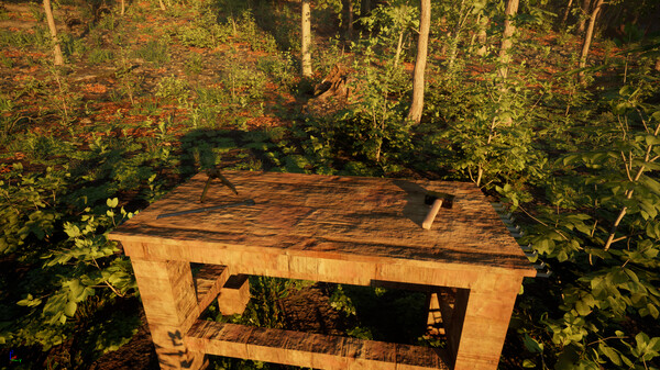 Carpathian Survival screenshot 2