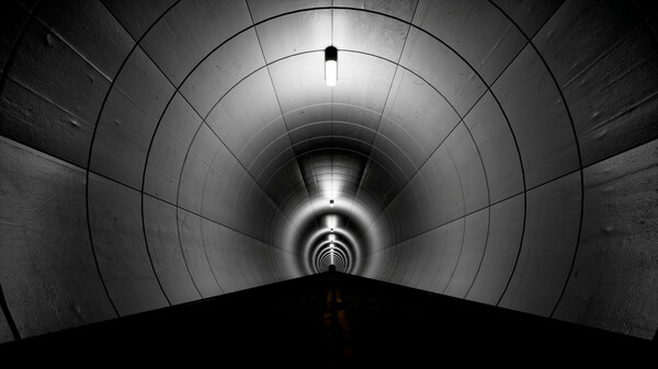 Parasite Tunnel screenshot 2