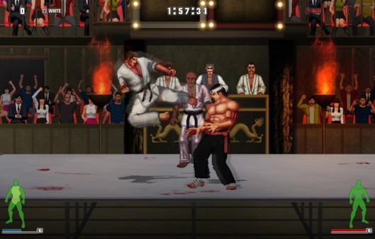 Karate Master 2 Knock Down Blow screenshot 12