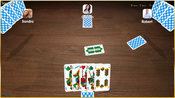 Palace of Cards screenshot 6