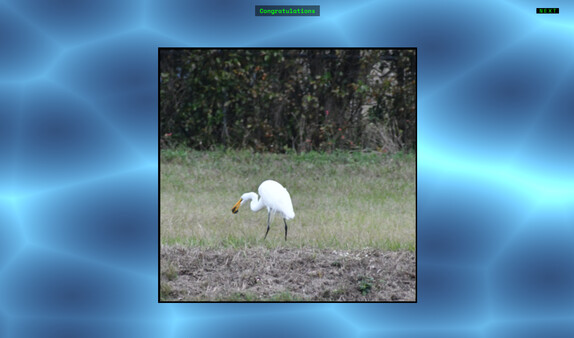 Jon's Jigsaw Puzzle screenshot 4