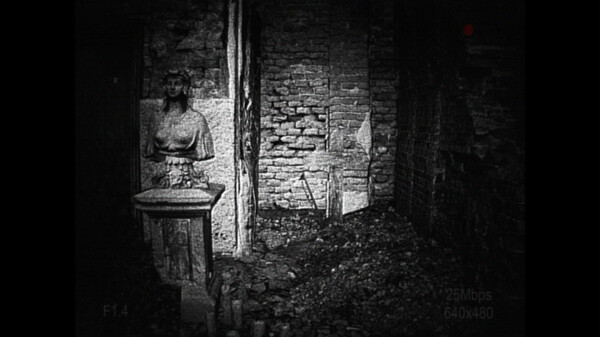 [REC] Desolation screenshot 4