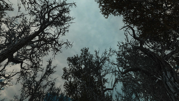 Bloodwood Reload screenshot 12
