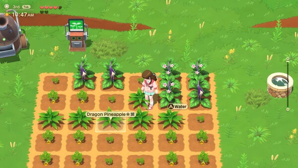 Harvest Moon®: Home Sweet Home Special Edition screenshot 1