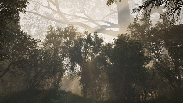 Calming Forest screenshot 8