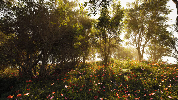 Calming Forest screenshot 9
