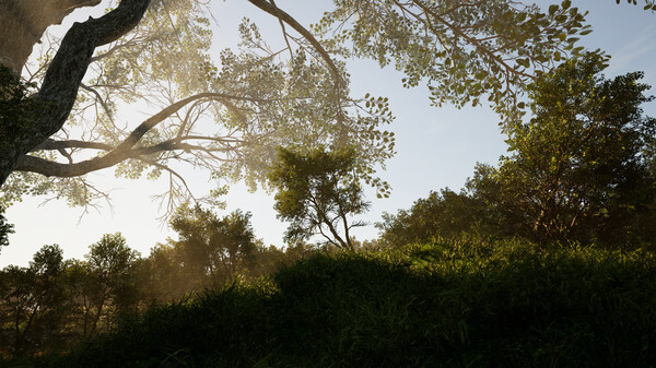 Calming Forest screenshot 6