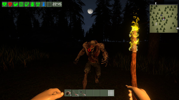The Survivor screenshot 7