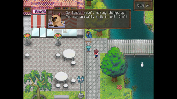 Cat Crazy screenshot 5